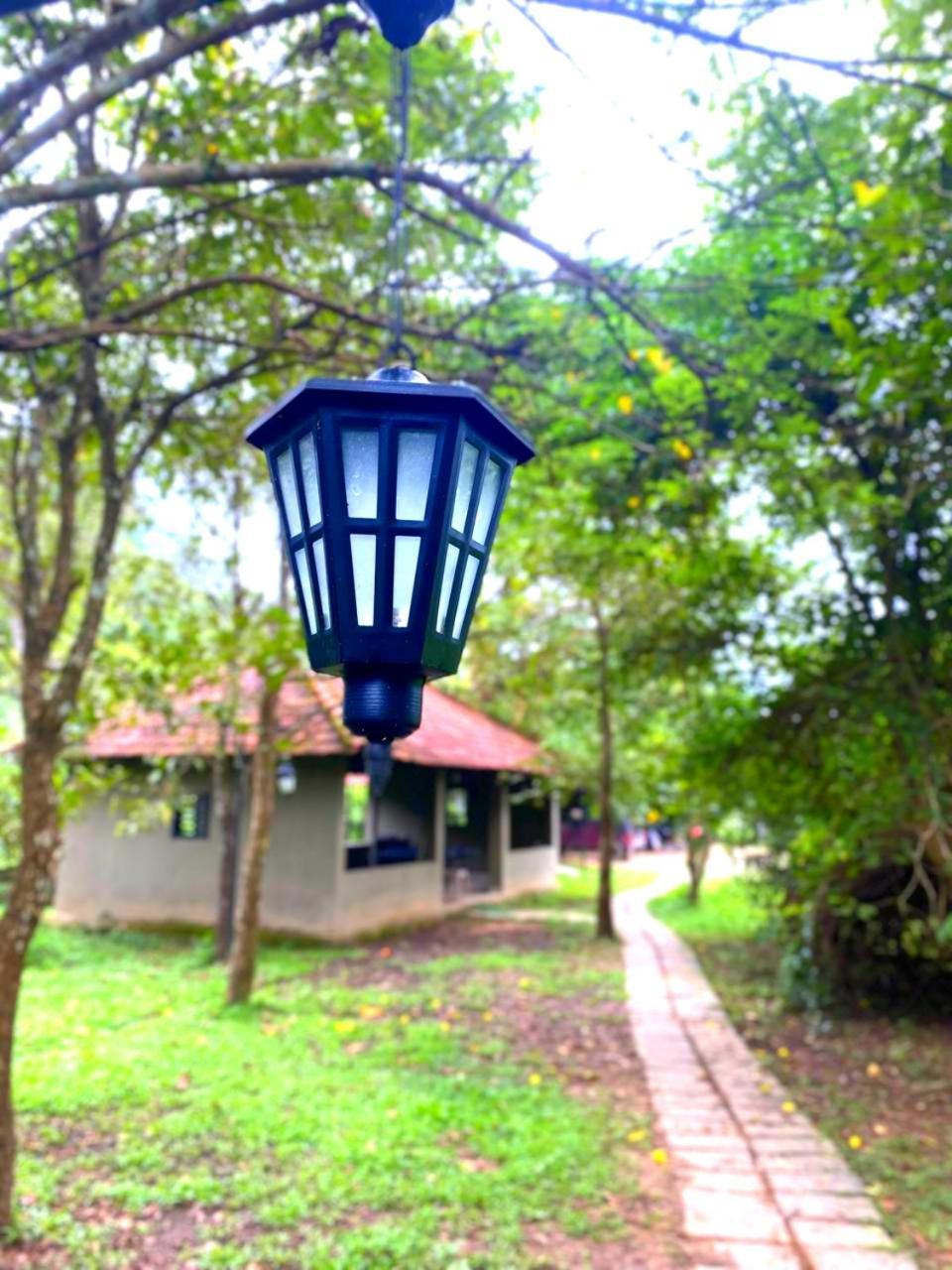 The Road's End Homestay Gonikoppal