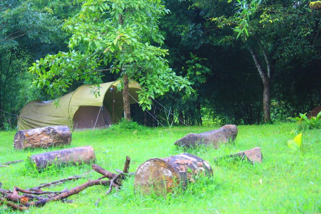 Homestay The Road's End