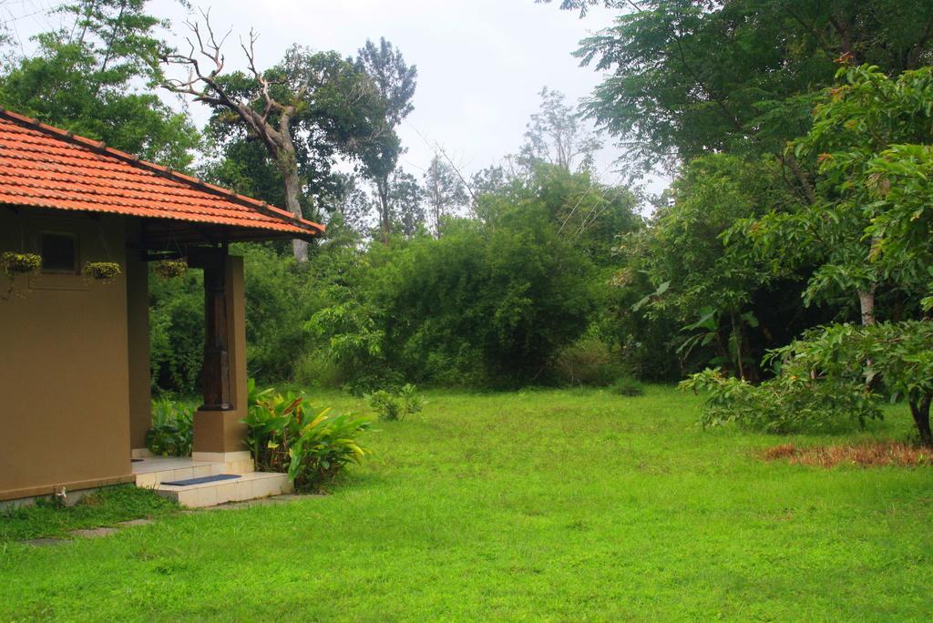 The Road's End Gonikoppal