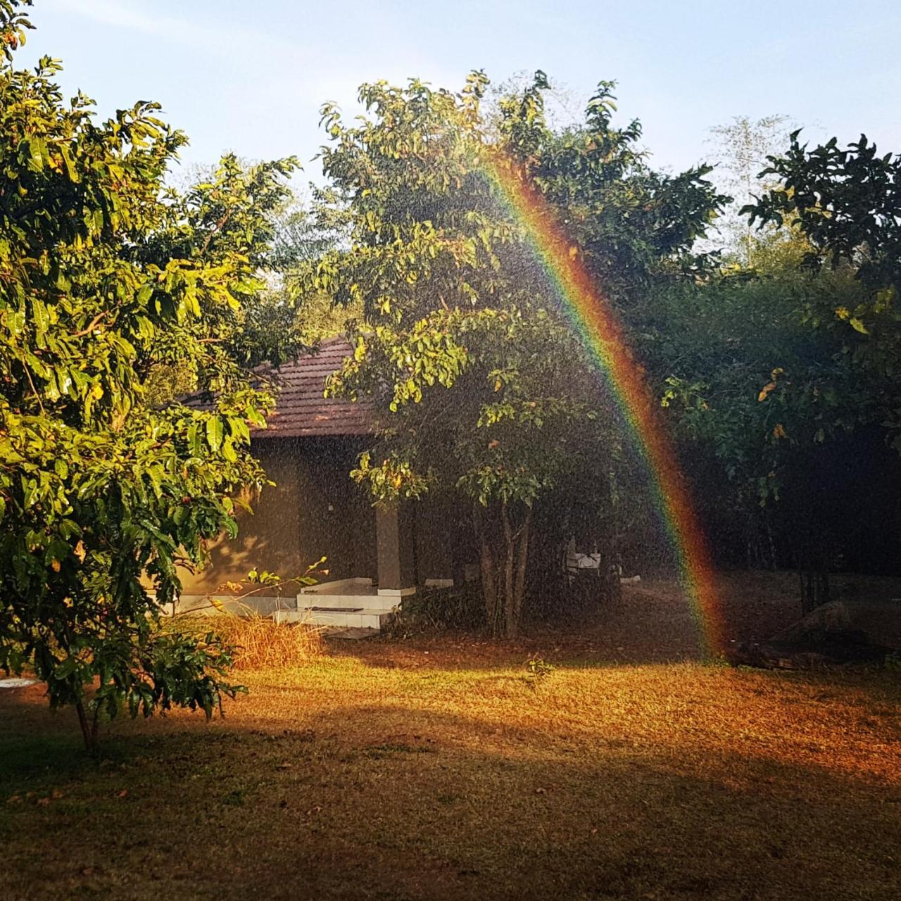 The Road's End Homestay Gonikoppal