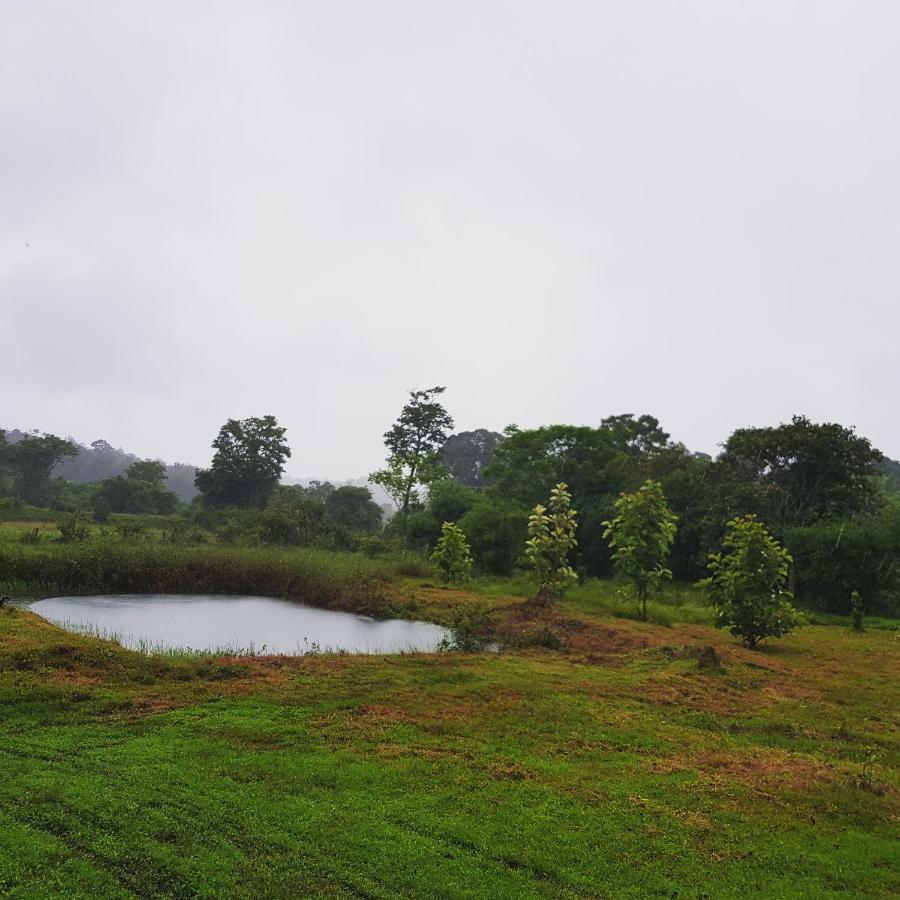 The Road's End * Gonikoppal