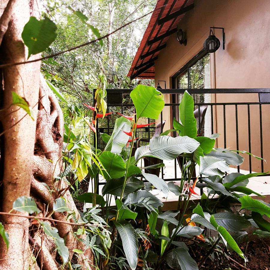 The Road's End Homestay *